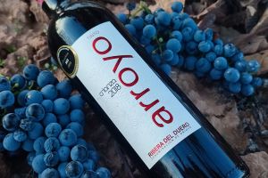 Bodega Tinto Arroyo