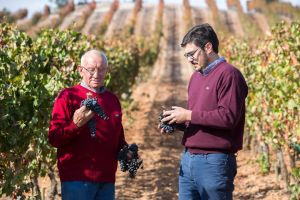 Bodega Tinto Arroyo