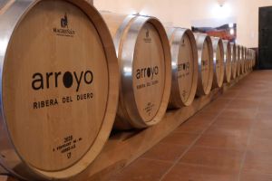 Bodega Tinto Arroyo
