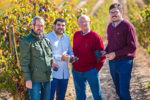 Bodega Tinto Arroyo